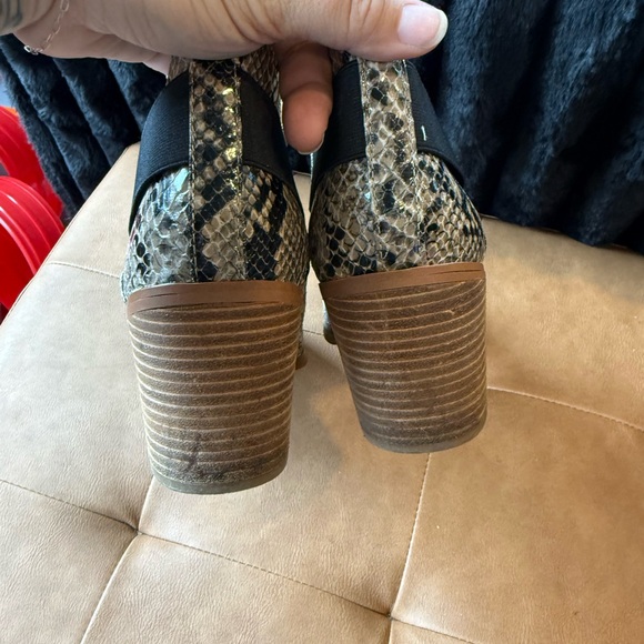 Women's Snake-Print Cutout Ankle Booties - Black/Beige - Picture 2 of 7